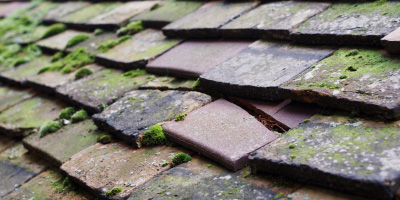 Inverbervie roof repair costs